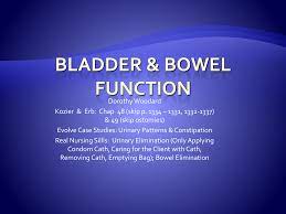 Bladder and bowel elimination.