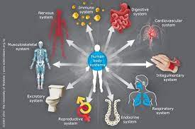 Body Systems and Diseases.