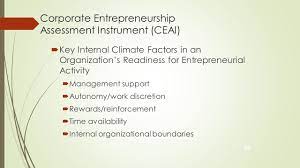 Corporate Entrepreneurship Assessment