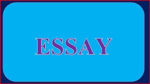 Essay on historical significance