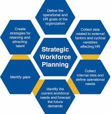Organization workforce strategy.