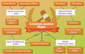 Criminal justice profession.