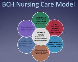 Culture of excellence in nursing.