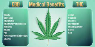 Effects of Medical Marijuana.