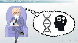 Evolutionary theory of personality