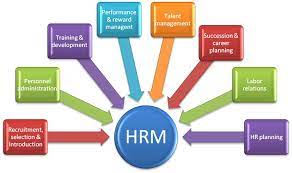 HR function in organisations