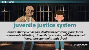 Juvenile justice professional setting