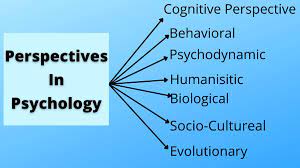 Key perspective on social psychology