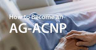 Legal obligations of the AGACNP