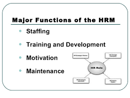 The staffing function of HRM