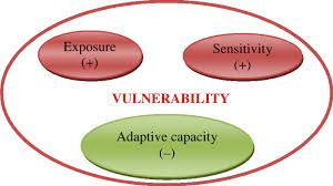 Concept of vulnerability