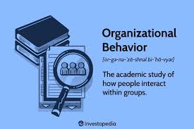  Organizational Behavior Application Paper