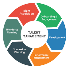 Proposing a talent management plan