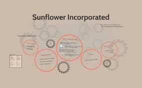 Sunflower Incorporated case study