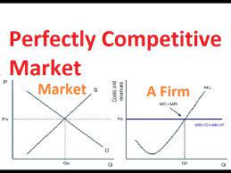 The Perfectly Competitive Economy